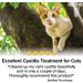 Transforme Cat Cystitis Care Feline Urinary Tract Food Supplement Support 90 Sprinkle On Capsules for Cats of All Ages Cystassist - Buy Online on GoSupps.com