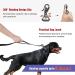 Hands Free Running Dog Lead - Retractable 7FT Long Training Leash for Medium Large Dogs - Reflective Nylon Tape - Ideal for Walking, Hiking, Jogging - Car Seat Belt Leash - Black - Buy Online on GoSupps.com