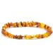 AmberPetCare Raw Baltic Amber Necklace for Dogs & Cats Natural Healing & Style - Buy Online on GoSupps.com