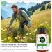 BONVIGO Alpenbitter 90 Bitter Capsules | 12-Herb Formula for Liver Support Digestion & Fat Metabolism | Natural Gentian Wormwood & Dandelion Blend - Buy Online on GoSupps.com