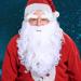 Buy Festive Santa Wig Beard & Eyebrow Set - Realistic Heat Resistant & Adjustable for Christmas Cheer - Buy Online on GoSupps.com