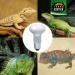Terra Exotica 100W Heat Spot 3 Pack - Ideal Reptile Terrarium Lighting & Heat Lamps - 25W to 150W Options Available - Buy Online on GoSupps.com