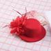 FRCOLOR Top Hat Hair Clip Feather Flower Decor Clips Fascinator Hat Veil Red Mini Top Hat for Tea Party Wedding Party - Buy Online on GoSupps.com