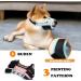 Soft Nylon Dog Muzzle - Anti-Bite & Anti-Barking - Perfect for Small Medium & Large Dogs (XL Blue Flower Design) - Buy Online on GoSupps.com