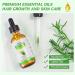 Rosemary Oil for Hair Growth & Skin Care -60ml 100% Pure Rosemary Essential Oil for Eyebrow and Eyelash Nourishes The Scalp Stimulates Hair Growth for Men Women - Buy Online on GoSupps.com