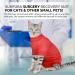 SUNFURA Cat Surgery Recovery Suit | Neuter/Spay Surgical Onesie for Cats | Anti-Licking Protection | Pink/Red (S Small) - Buy Online on GoSupps.com