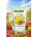 Niclofar KSM-66 Ashwagandha Honey Sticks potent bioavailable form of Ashwagandha with organic honey 30 Sticks Stress Relief and Energy Balance - Buy Online on GoSupps.com