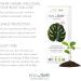 Naty Incontinence Pads Extra - 10 Eco-Friendly Pads for Maximum Comfort - Buy Online on GoSupps.com