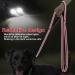 Dual Handled Reflective Nylon Dog Lead - 2 Modes Training Leash for Medium Dogs (1.5m x 2.0cm) - Black - Buy Online on GoSupps.com