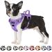Eyin dog harness for medium-sized dogs adjustable breathable reflective padded and breathable breast dishes with handle and front bracket for daily training (purple m) m (neck: 37-50cm breast: 40-68cm) purple