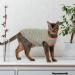 OUOBOB Sphynx Cat Clothing - Breathable Summer Shirts & Sweaters for Hairless Cats | Stylish Stripes for Sphynx Cornish Rex & Devon Rex - Buy Online on GoSupps.com