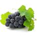 Buy Resveratrol & OPC Grapes - 3 + 1 Free Pack | 60 mg | 240 Capsules | Antioxidants for Cardiovascular & Prostate Health - Buy Online on GoSupps.com