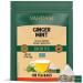 Vahdam ginger mint green tea (100 pieces) green tea |Whole loose sheet tea bagReconcilable pressure lock bag |Directly from the source in India |Hot or ice -cold brew ginger mint green tea