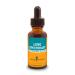 Herb Pharm Lung Expectorant Liquid Herbal Formula to Support Respiratory Immune Response - 1 Ounce (Pack of 1) 1 Fl Oz (Pack of 1)