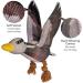 Shop Aquatic Human Squeaky Dog Toys - Crocodile Parrot Lizard & Wild Goose for All Dog Sizes - Buy Online on GoSupps.com