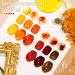 MTSSII Jelly Gel Nail Polish Set - Translucent Tortoise Shell Nails in Fall Shades - 6 Colors Soak Off UV LED Manicure Art Kit for DIY Home - Buy Online on GoSupps.com