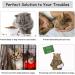 Cat Door Holder Latch - Keep Dogs Out, Cats In! Baby Proof, Easy Install (2 Pack) - Buy Online on GoSupps.com