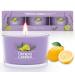 TRINIDa Candles Gifts for Women 17 Variants Scented Candles Birthrday Gifts for Her Sicilia Limone Lavender Candle Gift Set (Retro Garden Collection) Purple - Sicilia Lavender Limone