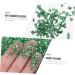 Healeved 1 Glass Chip Nail Punk Nail Jewels Rhinestones Nails Rhinestones Shiny Nail Glitter Craft Crushed Glass Diy Epoxy Filling Bottle Nail Rhinestones Colored Charm Jewelry Drill 0.5X0.3cm Green - Buy Online on GoSupps.com