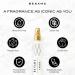 BESAME COSMETICS - Decades of Fragrance -1930 Womens Perfume Vintage Inspired Eau de Parfum in Retro Perfume Bottle Cinnamon Heliotrope Vanilla & Cedar - 9mL Vintage Atomizer - Buy Online on GoSupps.com