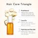 Kimtrue Frizz-Defying Hair Oil for Dry, Damaged, Curly, and Permed Hair - Adds Shine, Smooths, Nourishes, and Hydrates - Non-Greasy Formula - 2.7fl oz (Pack of 1) - Buy Online on GoSupps.com
