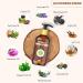 Cosalic Body Oil for dry skin Itchy Skin After Bath Pre Bath Moisturizing Body Oil with Goodness of 10 Natural Oil for Men & Women-290ML - Buy Online on GoSupps.com