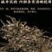 Pu-erh tea 2021 Yiwu luoshui dong 357g Raw - Buy Online on GoSupps.com