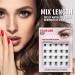 Eyelash Evolution DIY Extension Korean PBT Fiber 3D Effect Mixing Length - Reusable 20 Lash Clusters for Volume Look - 12mm 14mm 16mm - Multi-pack 20pcs - Buy Online on GoSupps.com