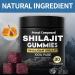 Primal Compound Shilajit Gummies for Men from The Himalayan Trace Minerals & Fulvic Acid No Added Sugar Non-GMO Energy Boost & Immune Support 30 Gummies - Buy Online on GoSupps.com