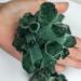 Natural Crystals and Stones 300-400g Natural Green Quartz Crystal Cluster Crystals raw Gemstone Specimen for Home&Office Decoration fengshui for Decoration QINTINYIN Full of Texture - Buy Online on GoSupps.com