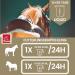 Premium Horse Vitamins & Minerals - Liquid B Vitamins Vitamin E Selenium & Zinc for Immune Support - 1L - Buy Online on GoSupps.com