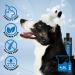 GROOM PROFESSIONAL Coconut Moisturising Dog Shampoo - Soothing & Nourishing 4L - Buy Online on GoSupps.com