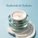 ELEMIS Pro-Collagen Night Cream: Anti-Wrinkle Hydrating Gel Formula - Buy Online on GoSupps.com