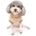 Shop Zweita Fleece Winter Jacket for Small Dogs - Warm Coat & Sweater for Chihuahuas & Cats - Soft Cozy Fuzzy Pet Clothing with D-Ring for Cold Weather - Buy Online on GoSupps.com