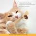 Wiswelry 6 Packs Natural Matatabi Silvervine Chew Sticks Natural Cat Teeth Nip Cleaning Catnip Toys for Indoor Kitten Teething and Stress 6P Sticks L - Buy Online on GoSupps.com