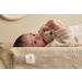 Jollein Fox Rattle & Teether - White/Olive | Soft Safe & Perfect for Babies | International Shipping Available - Buy Online on GoSupps.com