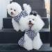 Cuteebone Houndstooth Dog Dress with Turtleneck | Puppy Skirt Costume & Pet Outfit | Perfect Birthday Gift for Dogs - Buy Online on GoSupps.com