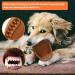 Laroo Dog Toys - Durable Squeaker Dog Ball for Small & Large Dogs | Natural Rubber Football Perfect for Playtime! - Buy Online on GoSupps.com
