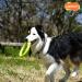 Laroo Dog Frisbee & Fitness Ring - Water Toy for Small Dogs | 18cm Green - Perfect for Summer Training - Buy Online on GoSupps.com