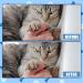 6pcs Cat Nail File Scratching Strips 3 Sizes Blue 120 Grit Claw Sandpaper Nail File for Cats Scratch Pad Reliable Rounded Corners Cat Scratcher for Furniture Flat Surface Cat Litter Box - Buy Online on GoSupps.com