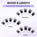 D Curl 0.07mm Cluster Lash Extensions 8-16mm Mix - Soft, Wispy & Wide Stem | XHFD-FD18-0.07-D - Buy Online on GoSupps.com