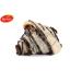 Sugar Free Rugelach Pastries | Chocolate Croissant Chocolate Babka Bread | Breakfast Pastry | Dairy & Nut Free | Preservative Free | Unique for Holidays & Birthdays | 10 oz Sterns Bakery - Buy Online on GoSupps.com