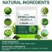 Tiuedu Spirulina Chlorella Softgels 300 Capsules 17 in 1 Green Nutrient Blend Spirulina Chlorella Softgels Rich in Plant Protein Vitamins Chlorophyll Easy to Take Softgel - Buy Online on GoSupps.com
