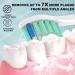 Replacement Toothbrush Heads for Philips Sonicare - Compatible Snap-On Brush Heads (12 Pack - Buy Online on GoSupps.com