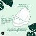 Organic Cotton Regular Absorbency Pads with Wings - 42 Ct | Unscented & Chlorine Free - Buy Online on GoSupps.com