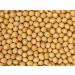 Premium Grade Non-GMO Soybeans Bulk Great Price (5 Pounds) 5 Pound (Pack of 1)