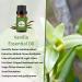 Yethious 4 Pack Essential Oil Set - Lavender Jasmine Vanilla Eucalyptus for Diffuser, Soap, Candles - Premium Aromatherapy Bundle - Buy Online on GoSupps.com