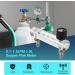 ecaqlin 0.1-1.5LPM 1.5L Oxygen Flow Meter Flowmeter with Control Valve for Oxygen Air Gas - Buy Online on GoSupps.com