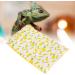 Bearded Dragon Bed Comfortable Removable Reptile Sleeping Bag with Small Pillow for Geckos (Pineapple + Yellow Quilt) - Buy Online on GoSupps.com