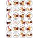24 Squirrel Edible Cake Decorations Cute Squirrel Cupcake Toppers Woodland Animals Wild One Animal Cake Toppers Woodland Party Decorations Woodland Baby Shower Decorations Farm Cake Toppers - Buy Online on GoSupps.com